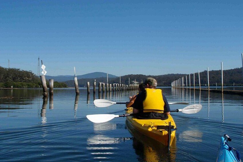Batemans Bay Oyster Tasting Kayak Tour 3