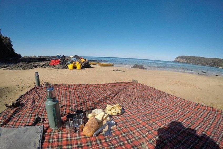 Een picknick op het strand met een geruit kleed, een fles, een beker en een pluche speeltje. 2