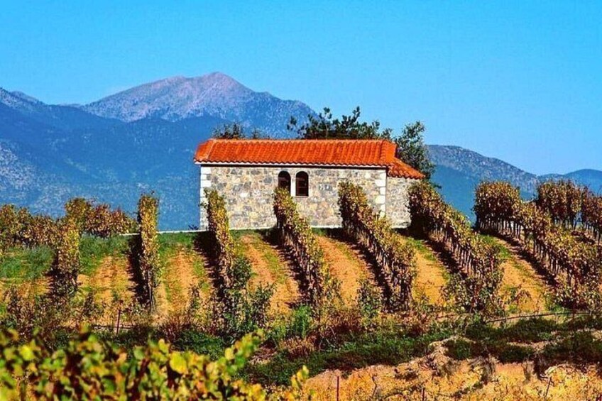 One-Day Tour with Wine and Food Tasting in Northern Kynouria, Arcadia, Greece! 3