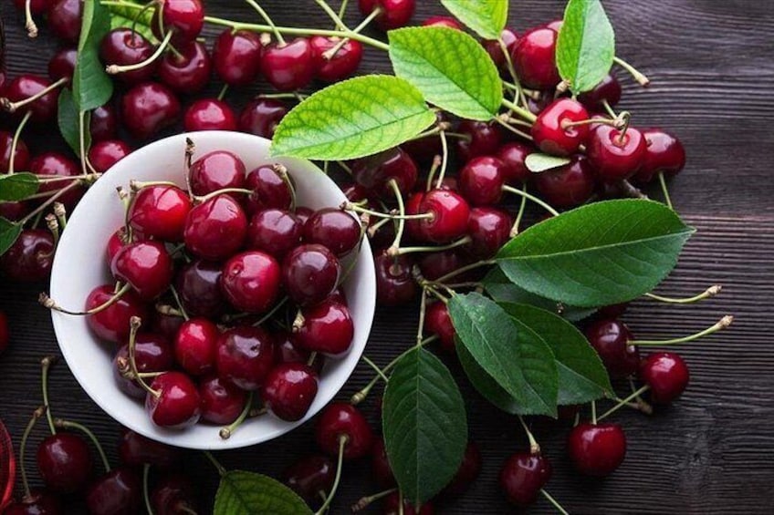 One-Day Tour with Wine and Food Tasting in Northern Kynouria, Arcadia, Greece! 4