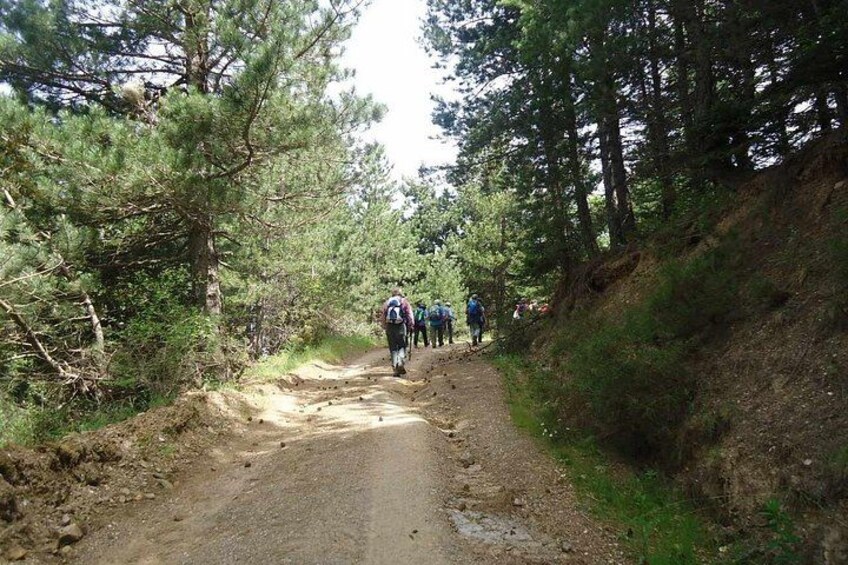 One-Day Tour with Wine and Food Tasting in Northern Kynouria, Arcadia, Greece! 3