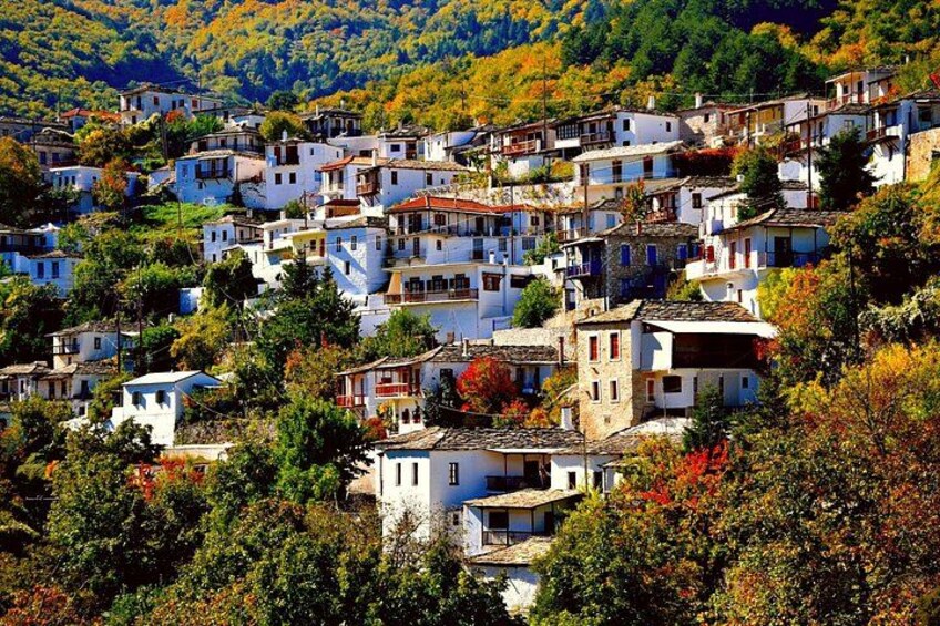 One-Day Tour with Wine and Food Tasting in Northern Kynouria, Arcadia, Greece! 2