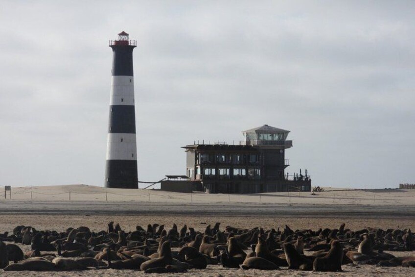 Sandwich Harbour Adventure Seals and Sandwich harbour dune drive 2