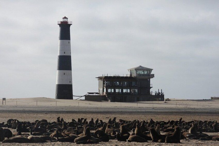A lighthouse, a control tower, and a large group of seals on a beach. 2