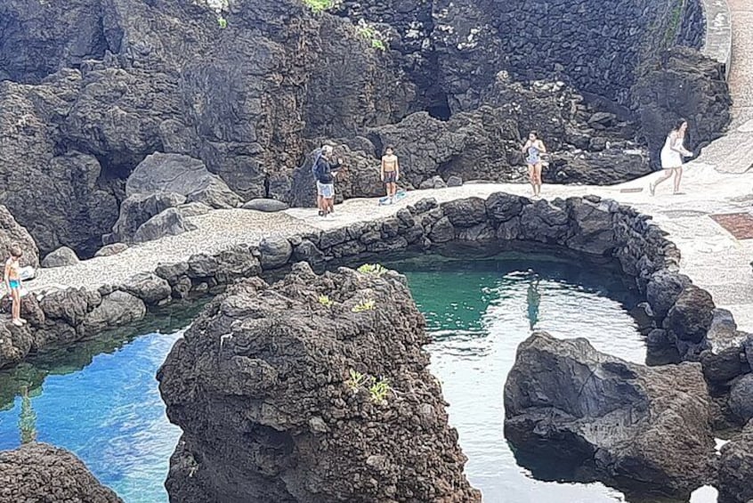 West Tour-Fanal Forest & Porto Moniz Natural Pools Small Groups 3