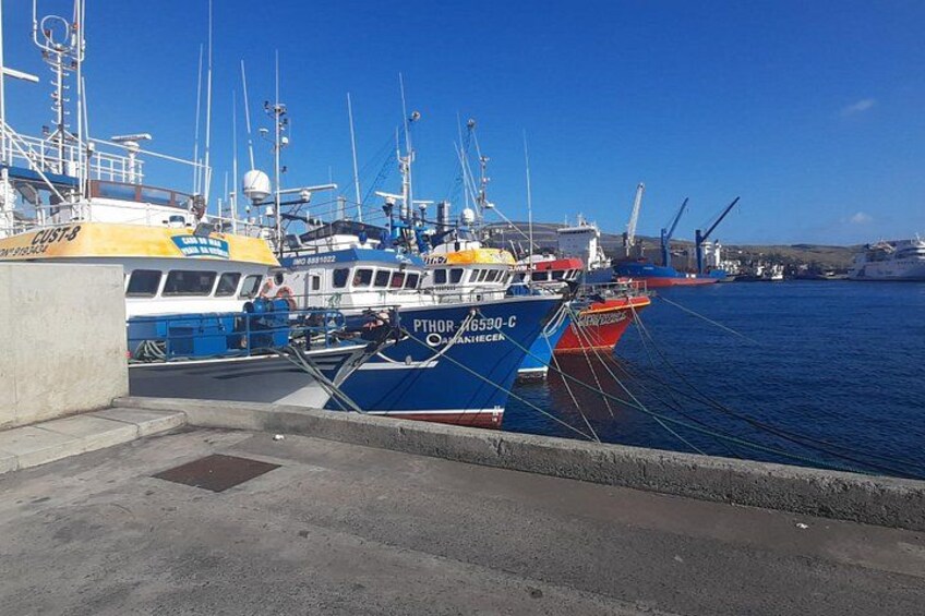 A harbor with several boats docked, including a blue and white vessel named 'PTHOR 6520-C.' 5
