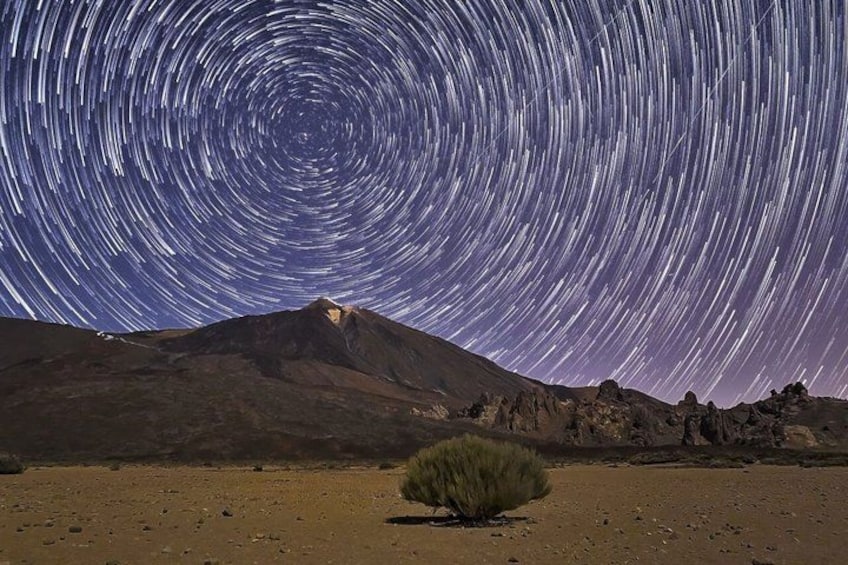 A starry night sky with a mountain range and a solitary bush in the foreground. 3