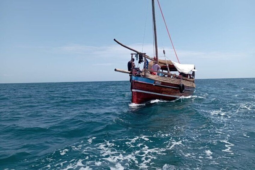 Wasini Dolphin Spotting Tour 3