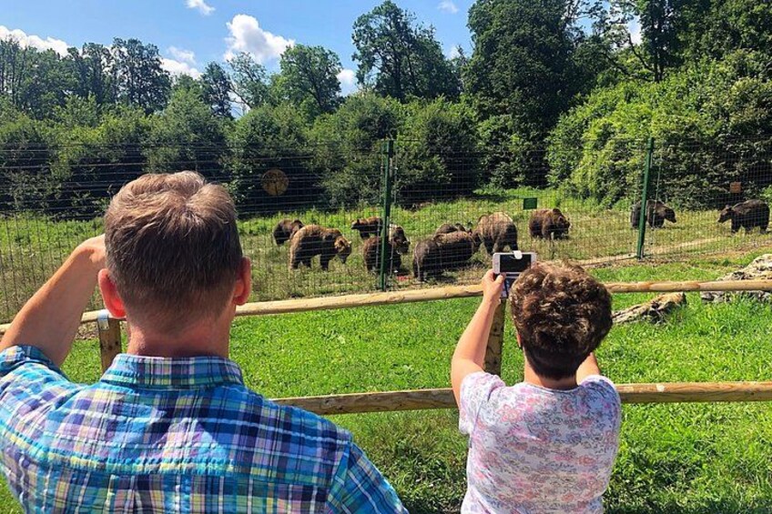 Twee personen maken foto's van beren in een dierentuin. 1