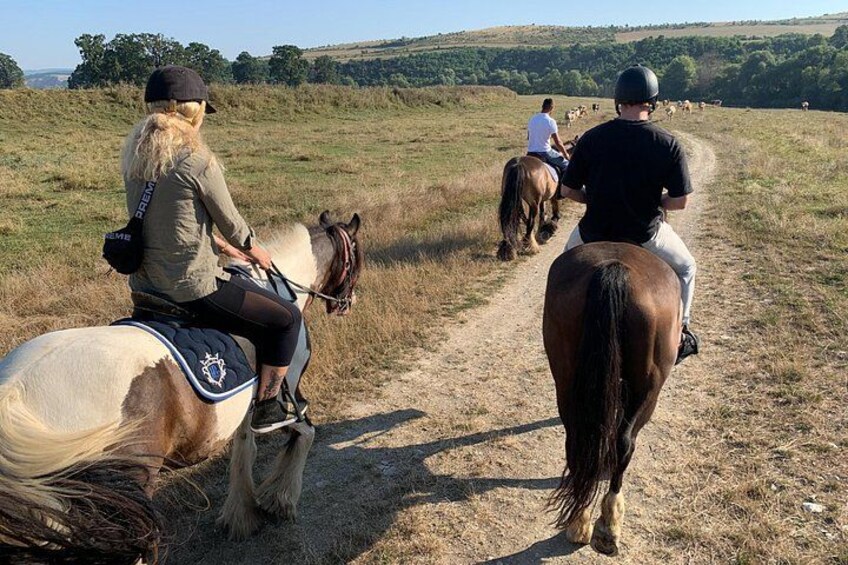 Horseback riding in the wild Romania. 1