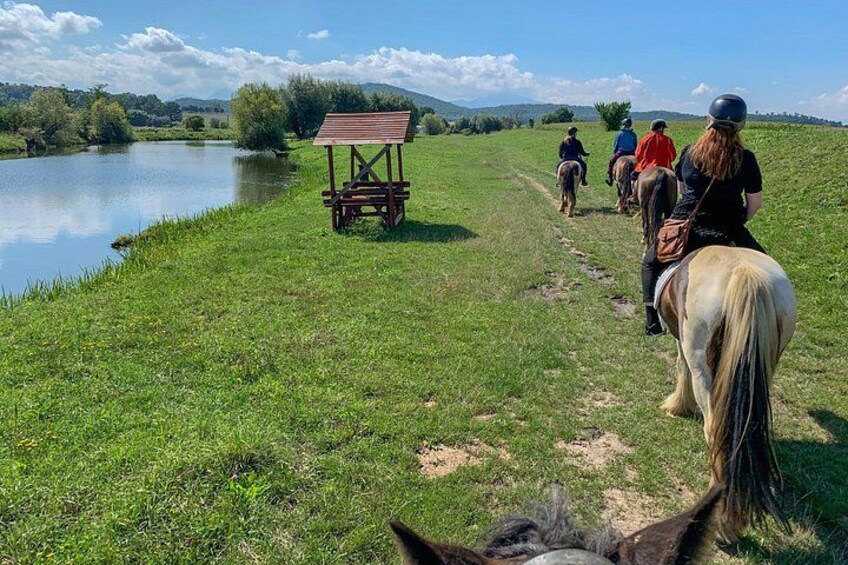 Horseback riding around lakes. 5
