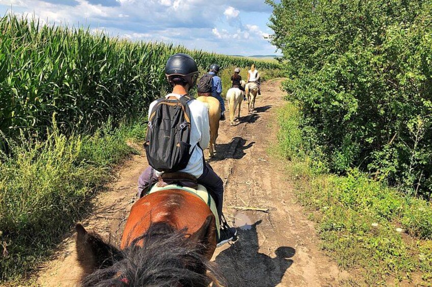 Un sendero de tierra con personas montando a caballo. 1
