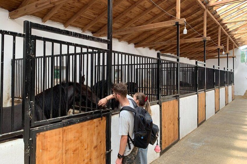 Insider Access: Checking out the stables! 4