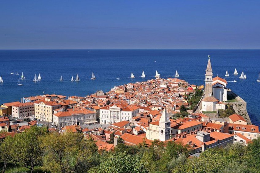 Piran 4