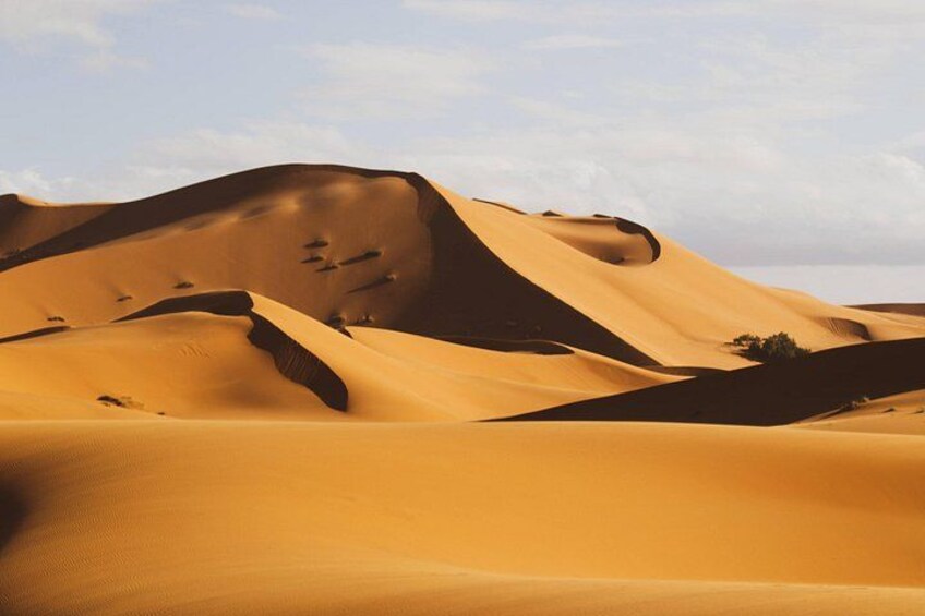 Erg Chigaga Dunes 4