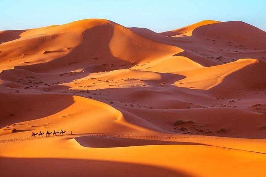 Crossing Erg Chebbi dunes by camels 1
