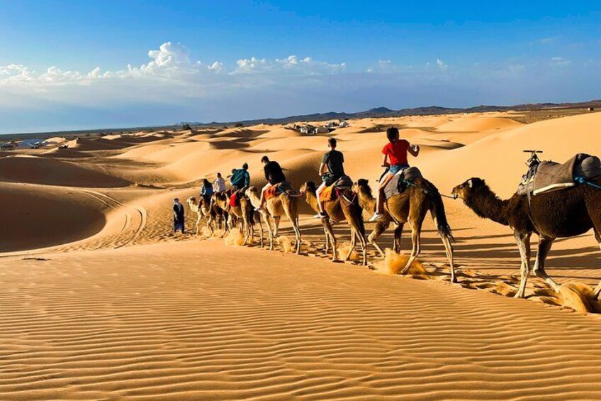 Camel excursion 2