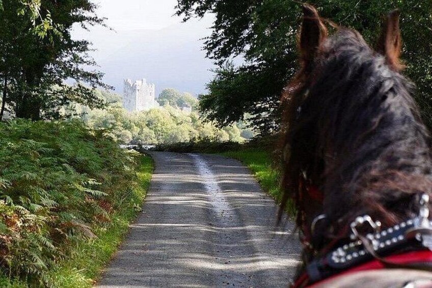 Killarney National Park Tour 2