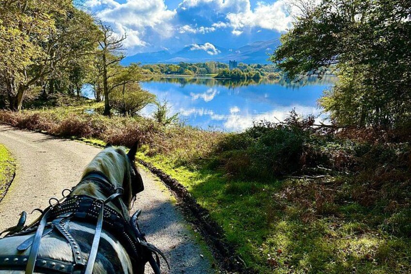 McCarthys Killarney carriage ride and jaunting car tour 1