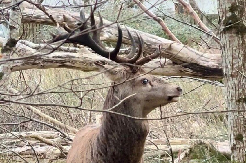 Killarney National Park Tour 2