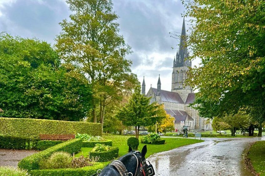Killarney National Park Tour 3