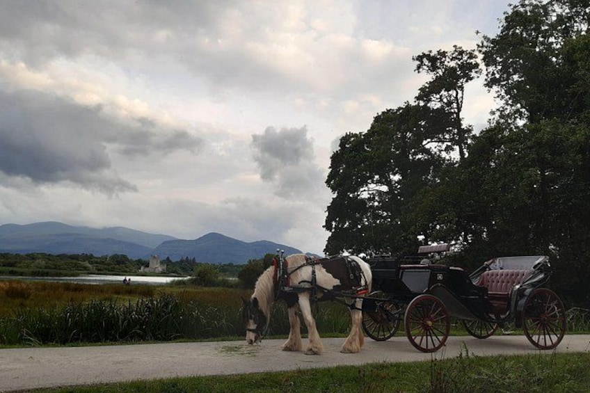 Killarney National Park Tour 5