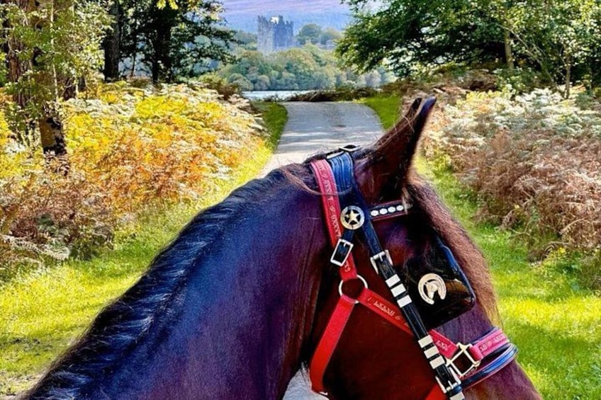 Killarney National Park Tour 2