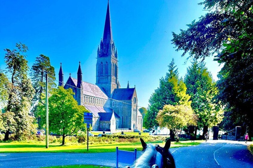 Killarney National Park Tour 5