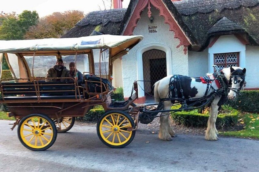 Killarney National Park Tour 3