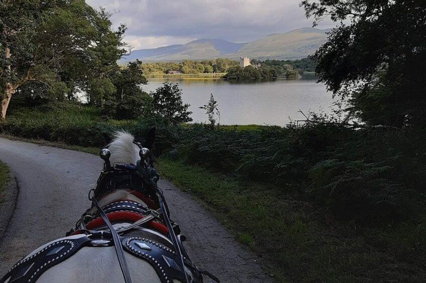 Killarney National Park Tour 2