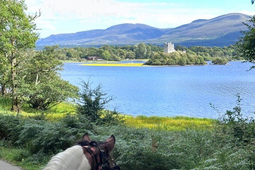 Best jaunting car tours in Killarney 3