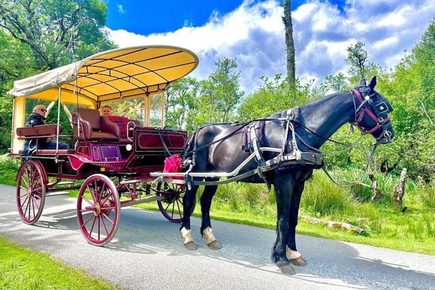 Killarney National Park Tour 2