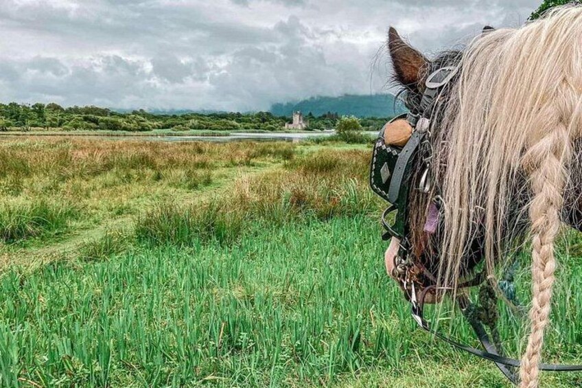 Killarney carriage ride 2