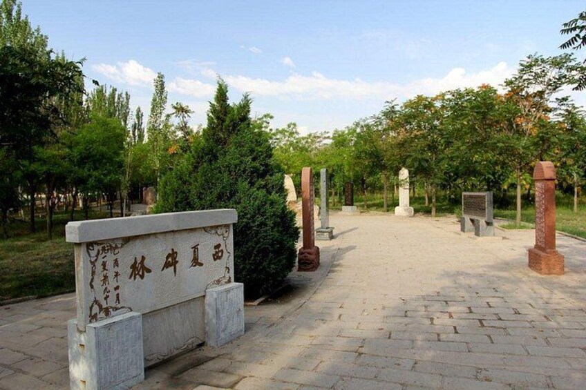 A cemetery with stone markers and a paved walkway. 4