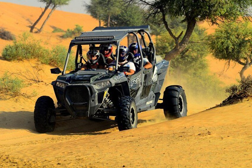 Ras Al Khaimah: Afternoon Desert Safari and BBQ Dinner 3
