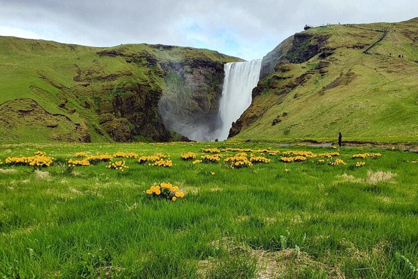 A waterfall, green grass, and yellow flowers. 5