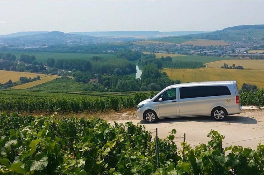 Champagne Day Trip from Reims including 9 Champagne Tastings 2