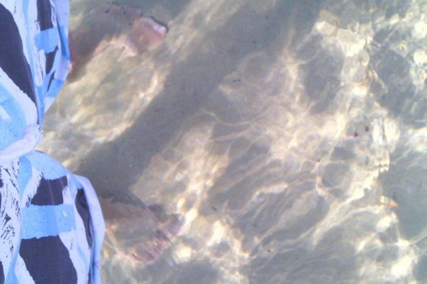 Guided Marine Walk: Sardinia Bay (Marine Protected Area) - 1 & Half Hour 1
