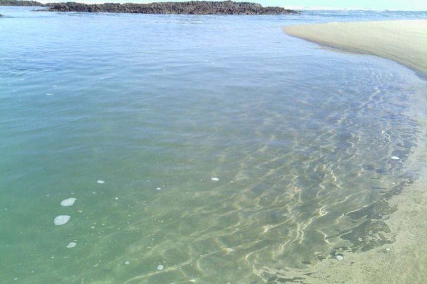 Guided Marine Walk: Sardinia Bay (Marine Protected Area) - 1 & Half Hour 3