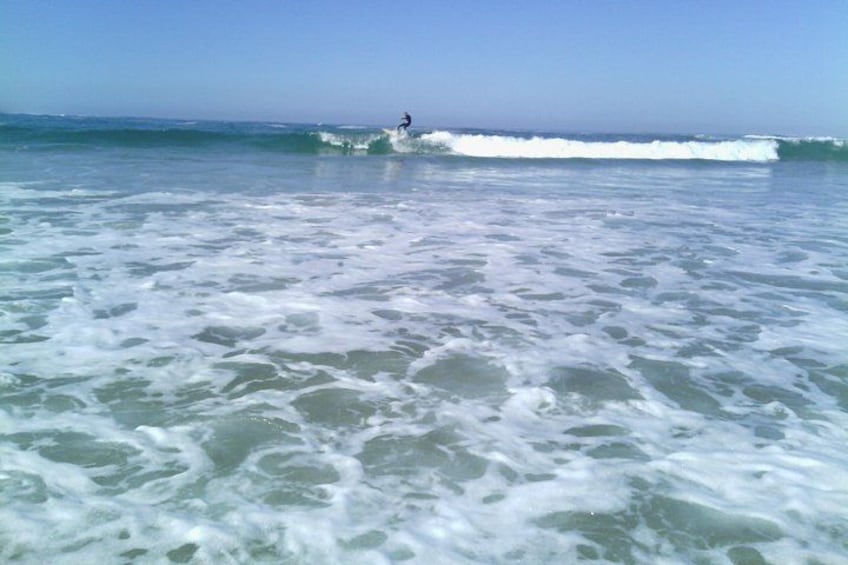 Guided Marine Walk: Sardinia Bay (Marine Protected Area) - 1 & Half Hour 5