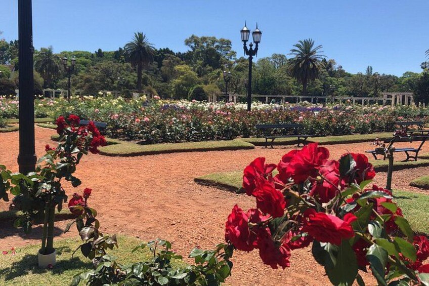 A garden with red roses, a pathway, and benches. 3