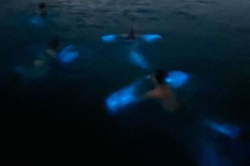 People swimming in a dark body of water. 5