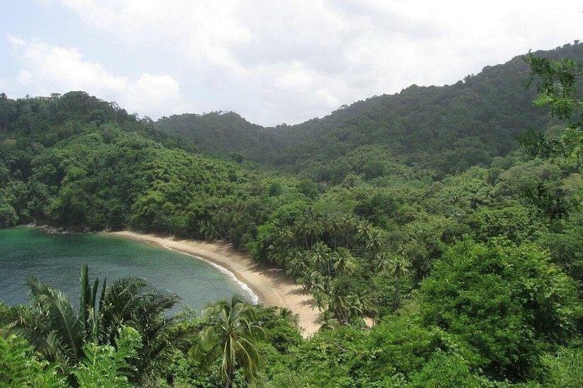 Englishman's Bay 4