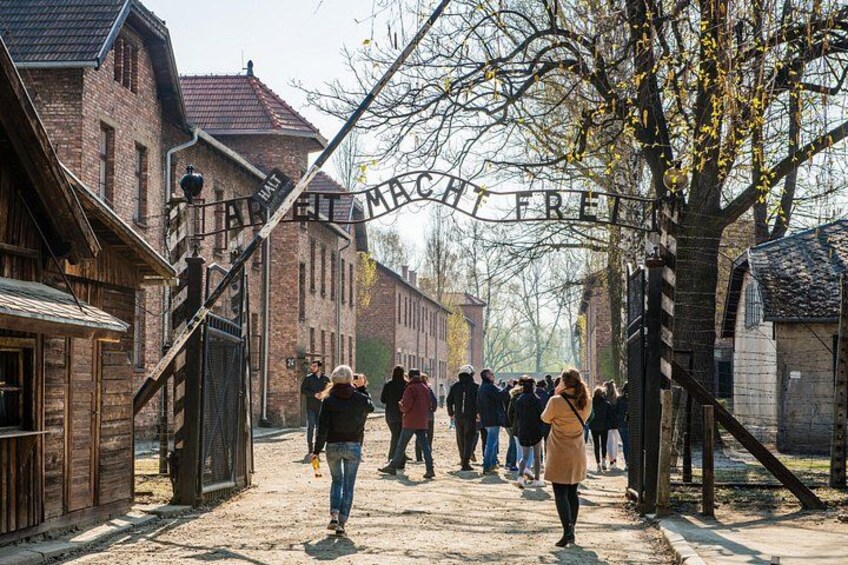 Auschwitz Birkenau and Wieliczka Salt Mine Guided Full Day Tour 2