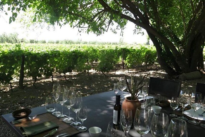 Private Mendoza WineTour: 3 Premium Wineries Michelin-Guide Lunch 2