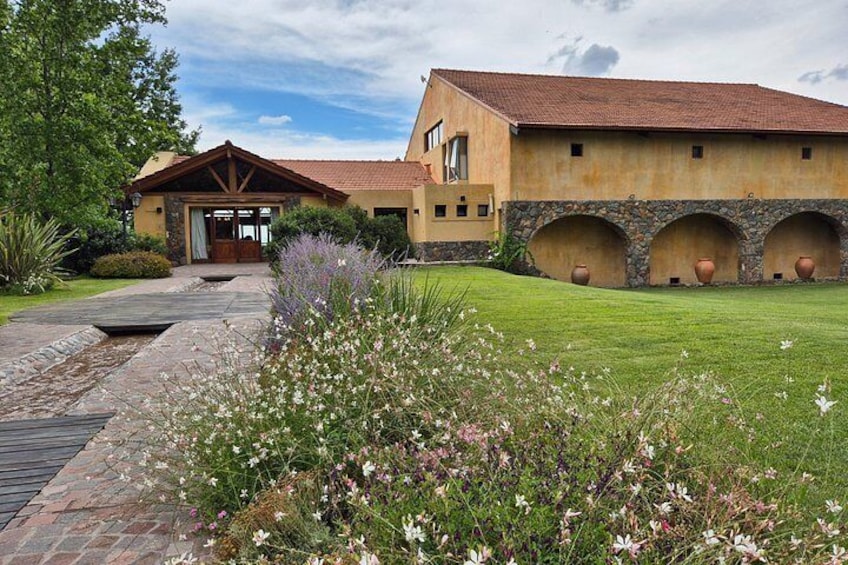 Piattelli Vineyards 4