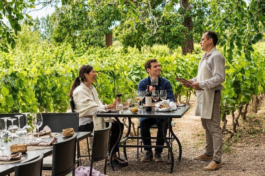 Private Mendoza WineTour: 3 Premium Wineries Michelin-Guide Lunch 1