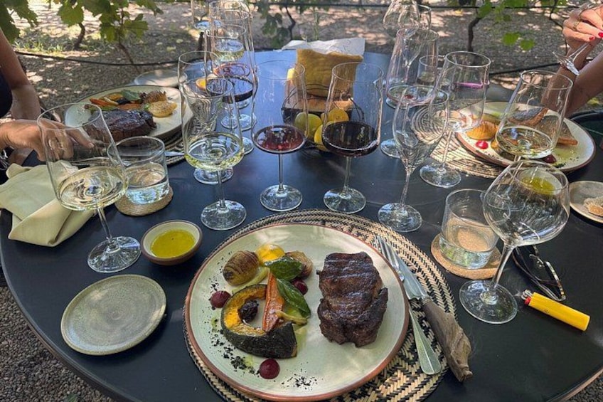Private Mendoza WineTour: 3 Premium Wineries Michelin-Guide Lunch 5