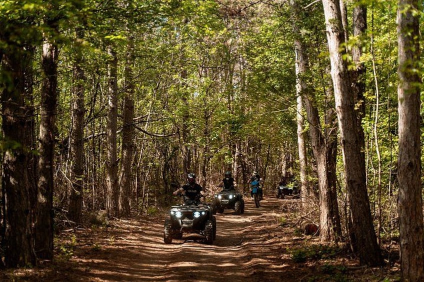 A forest trail with off-road vehicles. 5