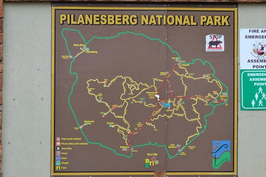 Pilanesberg National Park Day Tour from Pretoria, every SATURDAY 4
